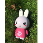 Alilo G6 Pink (LV) Honey bunny
