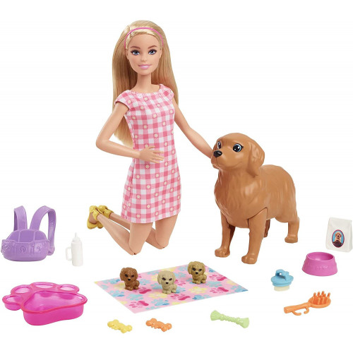Barbie HCK75 Doll