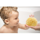 Babù Bio BASAP14 Baby sea sponge