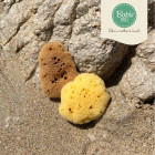 Babù Bio BASAP18 Натуральная детская морская губка