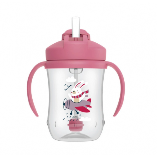 Dr.Browns TC91011 Baby's first straw cup with handles