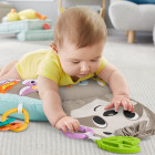 Fisher Price GRR01 Support pillow