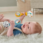 Fisher Price HMF34 Rattle