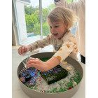 Jellystone Sensory kit