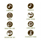 Navir 4010/X Young explorer kit