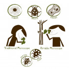 Navir 8050/X Portable microscope