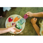 Orange Tree Toys OTT06169 Сортер