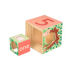 Orange Tree Toys OTT12074 Wooden cubes
