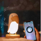 Rabbit and Friends Bird wooden night light with Bluetooth-speaker