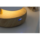 Rabbit and Friends Bird wooden night light with Bluetooth-speaker