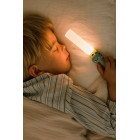 The Zoofamily Night light and flashlight
