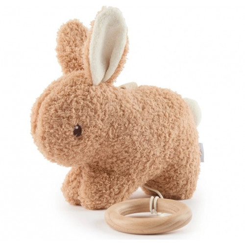 Bieco Fine Musical toy