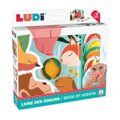 LUDI L30148 Educational book
