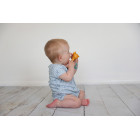 Tolo BIO Educational toy